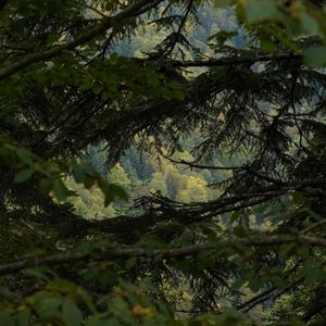 Spring Tasting Menu Launch